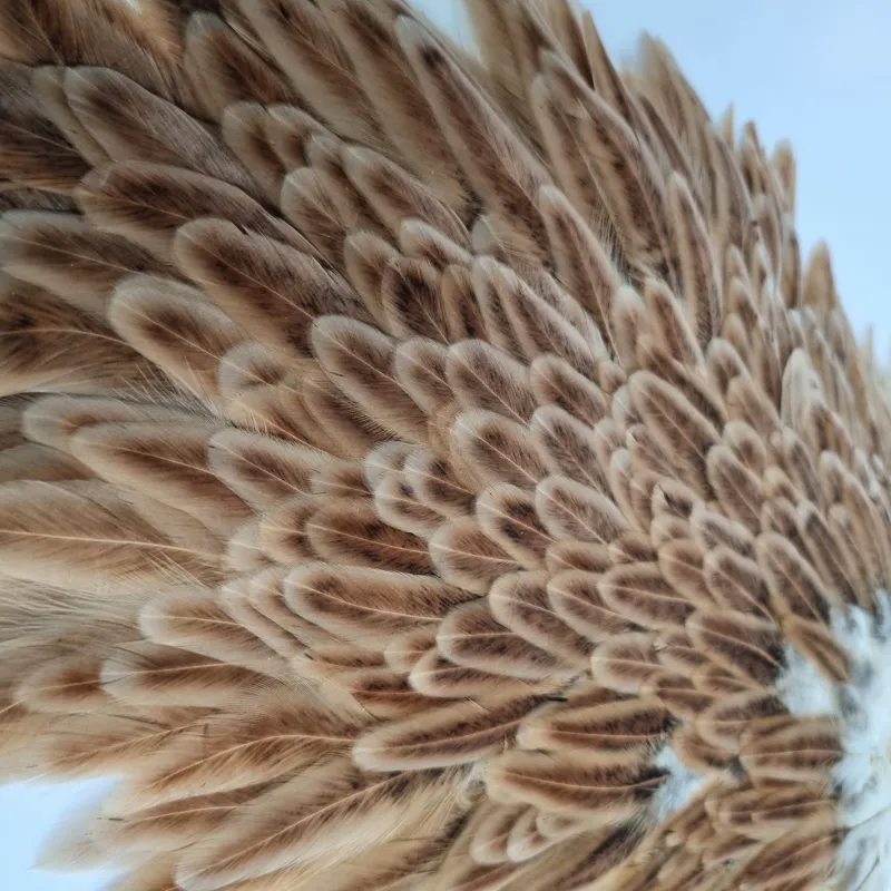 Whiting Hebert Miner Hen Saddle in Medium Ginger-1